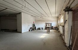 Hală tip atelier și locuință, P + M, 200 mp utili, zona canal - Brestei