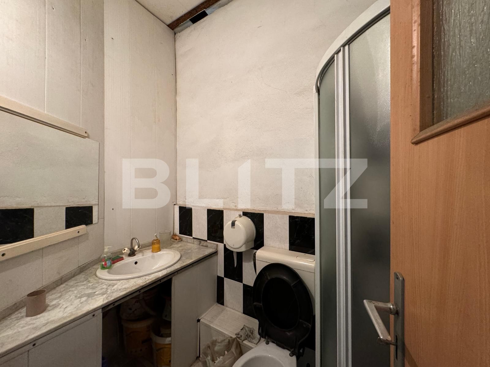 Spațiu industrial de vânzare Brestei - 136717SVI | BLITZ Craiova | Poza8