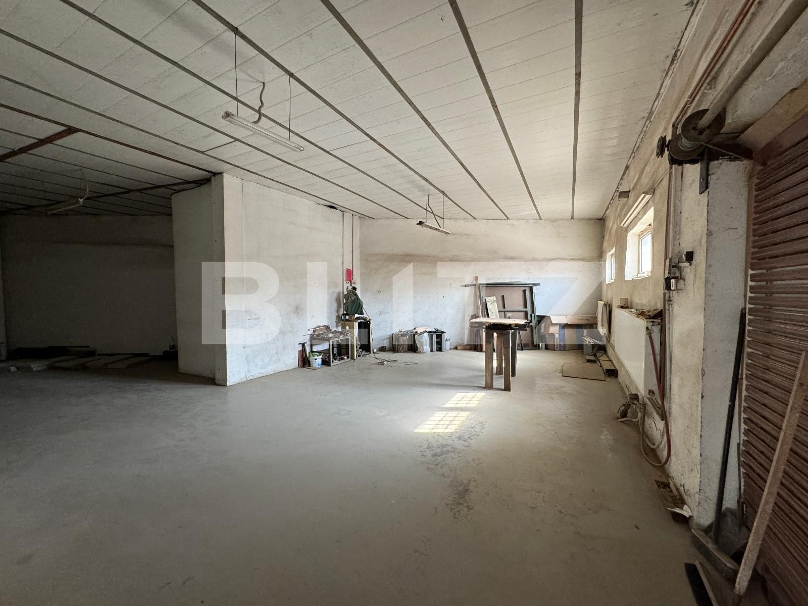 Spațiu industrial de vânzare Brestei - 136717SVI | BLITZ Craiova | Poza5