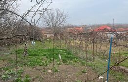 Casa boiereasca in Podari, 5 camere 109 mp utili cu 500 mp de teren