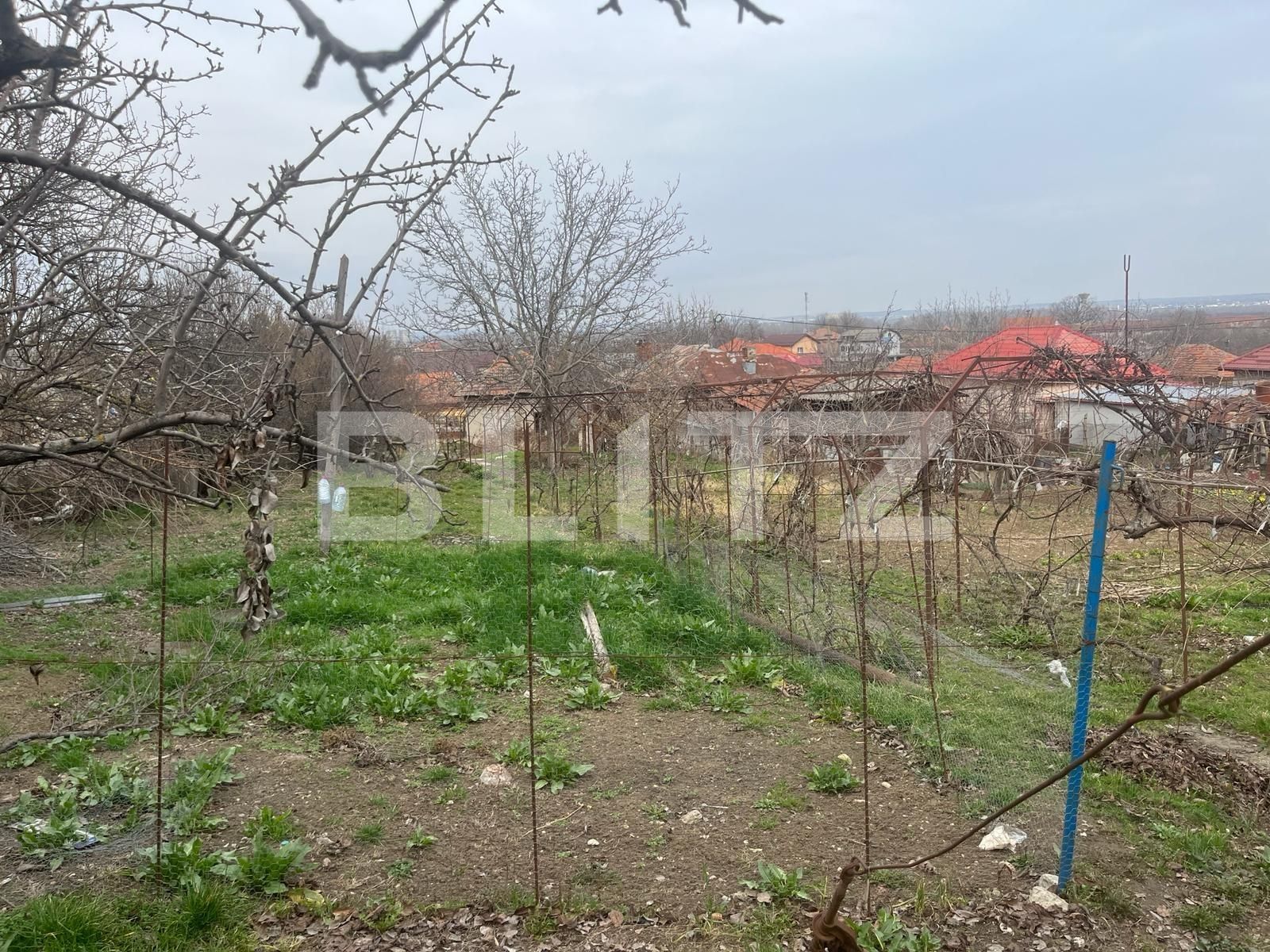 Casa de vânzare 5 camere Podari - 136763CV | BLITZ Craiova | Poza3