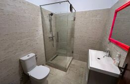 Penthouse 180 mp pentru spatiu birouri, Calea Severinului