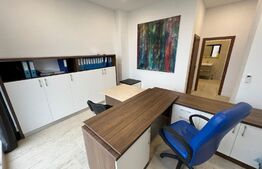 Penthouse 180 mp pentru spatiu birouri, Calea Severinului