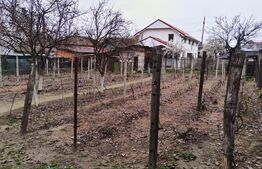 Casă mobilată și utilată S+P+1, cu 7 camere, având potențial hotelier/business și teren aferent de 884mp situată în cartierul Făcăi din Craiova