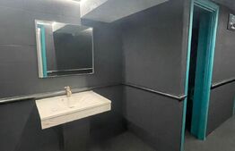 Spatiu comercial, 391 mp, acces facil si vizibilitate crescuta, zona Brazda 