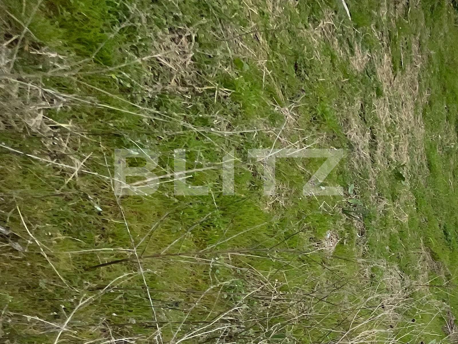 Teren de vânzare Cernele - 137199TV | BLITZ Craiova | Poza2