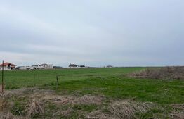 Teren 7000mp la Peugeot in proximitatea zonei de agrement Vlasca 