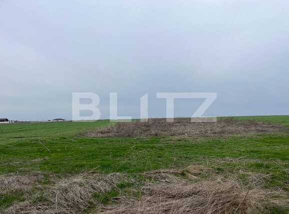 Teren de vânzare Pielești - 137279TV | BLITZ Craiova | Poza3