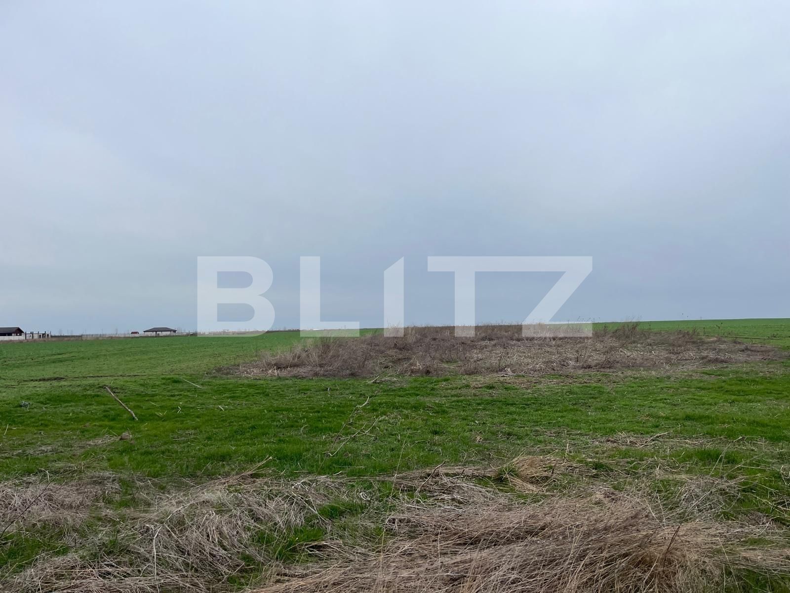 Teren de vânzare Pielești - 137279TV | BLITZ Craiova | Poza3