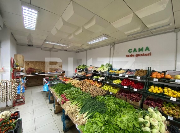 Spațiu comercial de închiriat Craiovita Noua - 137346SIC | BLITZ Craiova | Poza1