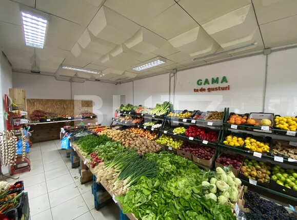 Spațiu comercial de închiriat Craiovita Noua - 137346SIC | BLITZ Craiova | Poza6