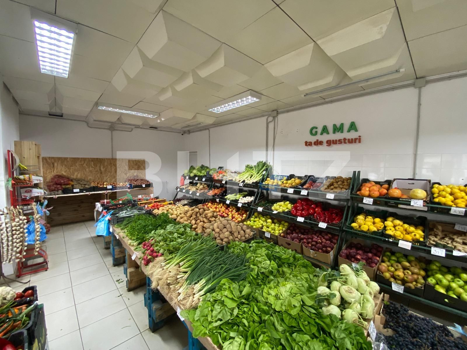 Spațiu comercial de închiriat Craiovita Noua - 137346SIC | BLITZ Craiova | Poza6