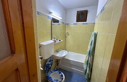 Casa P+M,4 camere, 60mp utili + 207 teren, zona Romanesti