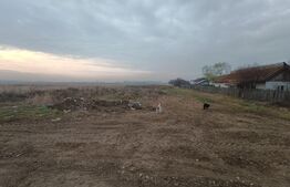 Teren intravilan 7505 mp, zona Aeroport