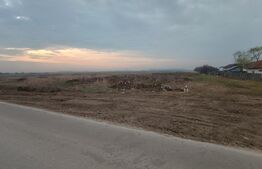 Teren intravilan 7505 mp, zona Aeroport