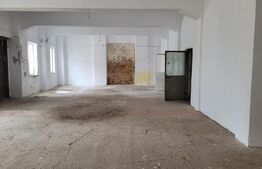 Hale industriale, 4000 mp, zona Bucovat