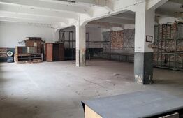 Hale industriale, 4000 mp, zona Bucovat