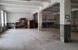 Hale industriale, 4000 mp, zona Bucovat