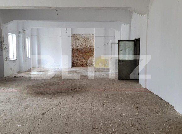 Spațiu industrial de închiriat Bucovat - 137493SII | BLITZ Craiova | Poza2