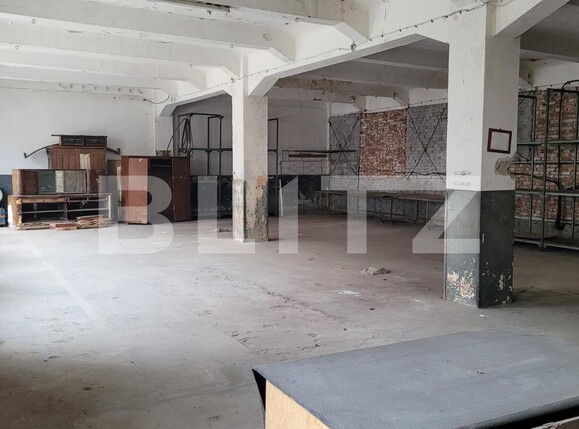 Spațiu industrial de închiriat Bucovat - 137493SII | BLITZ Craiova | Poza1