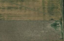 Teren extravilan, zona Carcea, cu o suprafata de 12218 mp