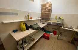 Afacere la cheie, restaurant cu posibilitate de extindere, 172 mp,  zona Centrul Vechi