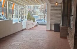 Oferta! Restaurant  cu teresa,250 mp, zona Centrala