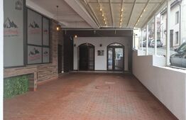 Oferta! Restaurant  cu teresa,250 mp, zona Centrala