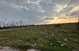 Teren extravilan, 4976 mp, zona Jumbo