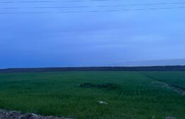 Teren extravilan, 5000 mp, zona Bucovăț Palilula 