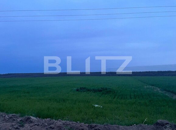 Teren de vânzare Bucovat - 138022TV | BLITZ Craiova | Poza1