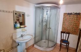 Doua case, 128mp utili +teren de 1000 mp , zona Bariera Valcii