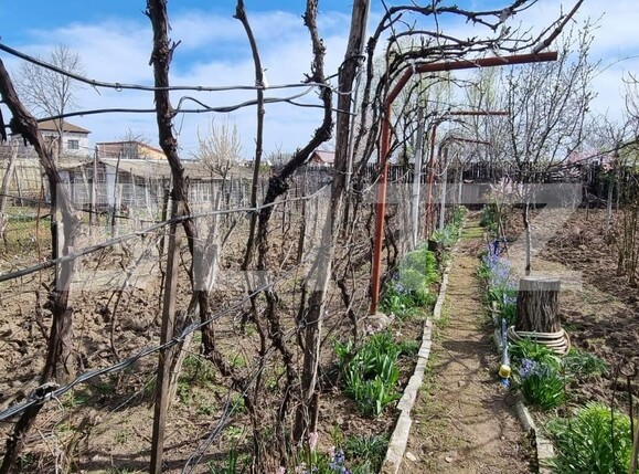 Casa de vânzare 5 camere Bariera Valcii - 138035CV | BLITZ Craiova | Poza5