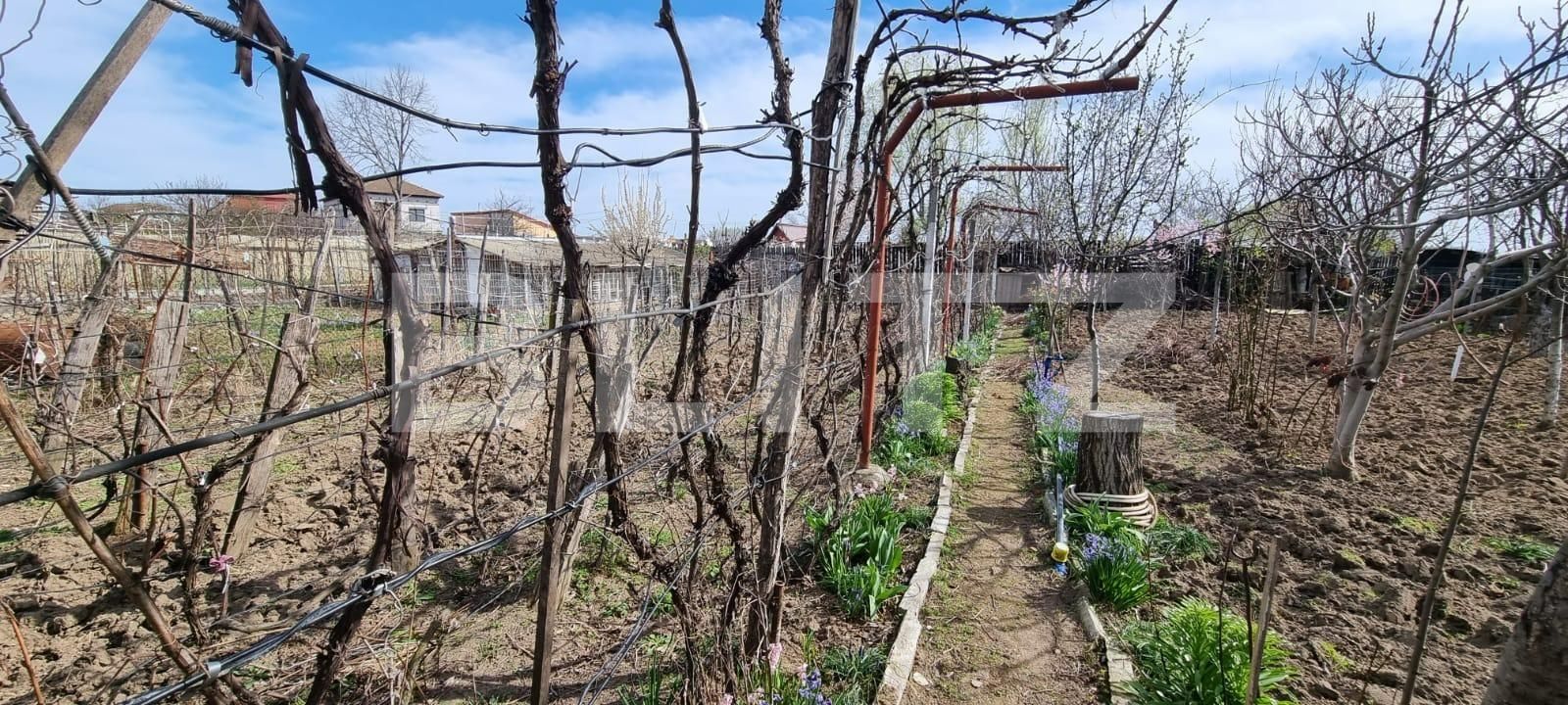 Casa de vânzare 5 camere Bariera Valcii - 138035CV | BLITZ Craiova | Poza5