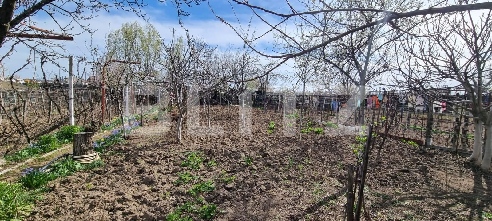 Casa de vânzare 5 camere Bariera Valcii - 138035CV | BLITZ Craiova | Poza4