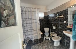 Casa, 4 camere, 90 mp,  zona Parcul Puskin / Sf. Apostoli 