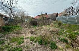Casa batraneasca, 247mp teren, zona Brestei 