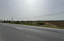 Teren intravilan 10.763 mp, deschidere 97 m la DE79, Brădești