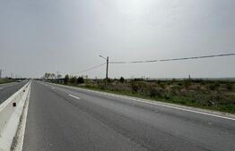 Teren intravilan 10.763 mp, deschidere 97 m la DE79, Brădești