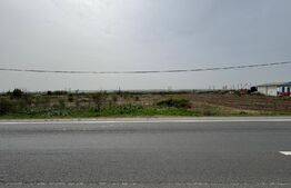Teren intravilan 10.763 mp, deschidere 97 m la DE79, Brădești