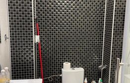 Apartament 2 camere, 55mp, zona Consul, George Enescu