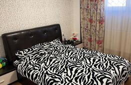 Apartament 2 camere, 55mp, zona Consul, George Enescu