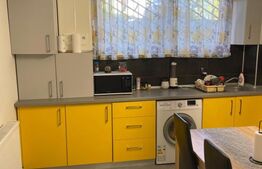 Apartament 2 camere, 55mp, zona Consul, George Enescu