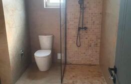 Casa P+1 , 130 mp, 250 mp teren, zona Damila