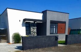 Casa pe Parter, 3 camere,  250 mp, zona Damila!