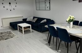 Casa P+1, 110 mp utili, 250 mp teren, zona Selgros