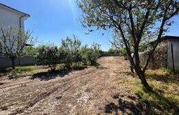 Casa D+P, 4 camere,  200 mp, 1258 mp teren, zona Mofleni 