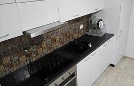 Prima închiriere: Casa modernă de 5 camere în Plaiul Vulcănești