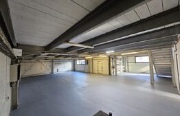 Hale cu spații de producție și birouri 470 mpu, cu teren 550 mp, zona Selgros