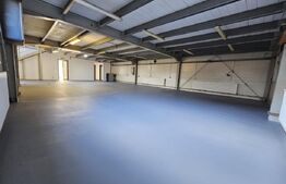 Hale cu spații de producție și birouri 470 mpu, cu teren 550 mp, zona Selgros